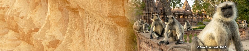 hidden-india.jpg