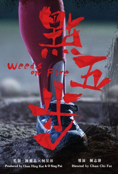 weeds-fire-2016.jpg