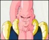 buu4.jpg
