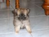 PIC_0080.JPG