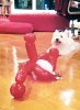 Lucas-Tse-birthday-party1.jpg