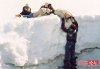 alive-story-of-andes.jpg
