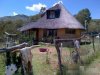 Daniel-Wu-Lisa-S-South-African-house.jpg
