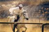Bosco-Wong-Racecourse-1.jpg