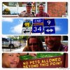 Wong-He-3.jpg