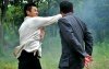 Kevin-Cheng-Ip-Man-3.jpg