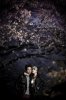 Grace-Yip-wedding-7.jpg