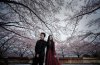Grace-Yip-wedding-14.jpg
