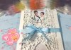 nicky-wu-cecilia-liu-wedding-photos-3.jpg