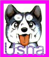 usna