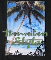 ISLANDSNOW