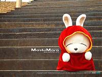 adorable_sky_dazzling