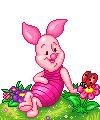golden-pig27