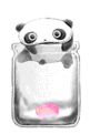 anny430