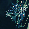 alcyone