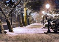Avenue