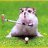 lamchi